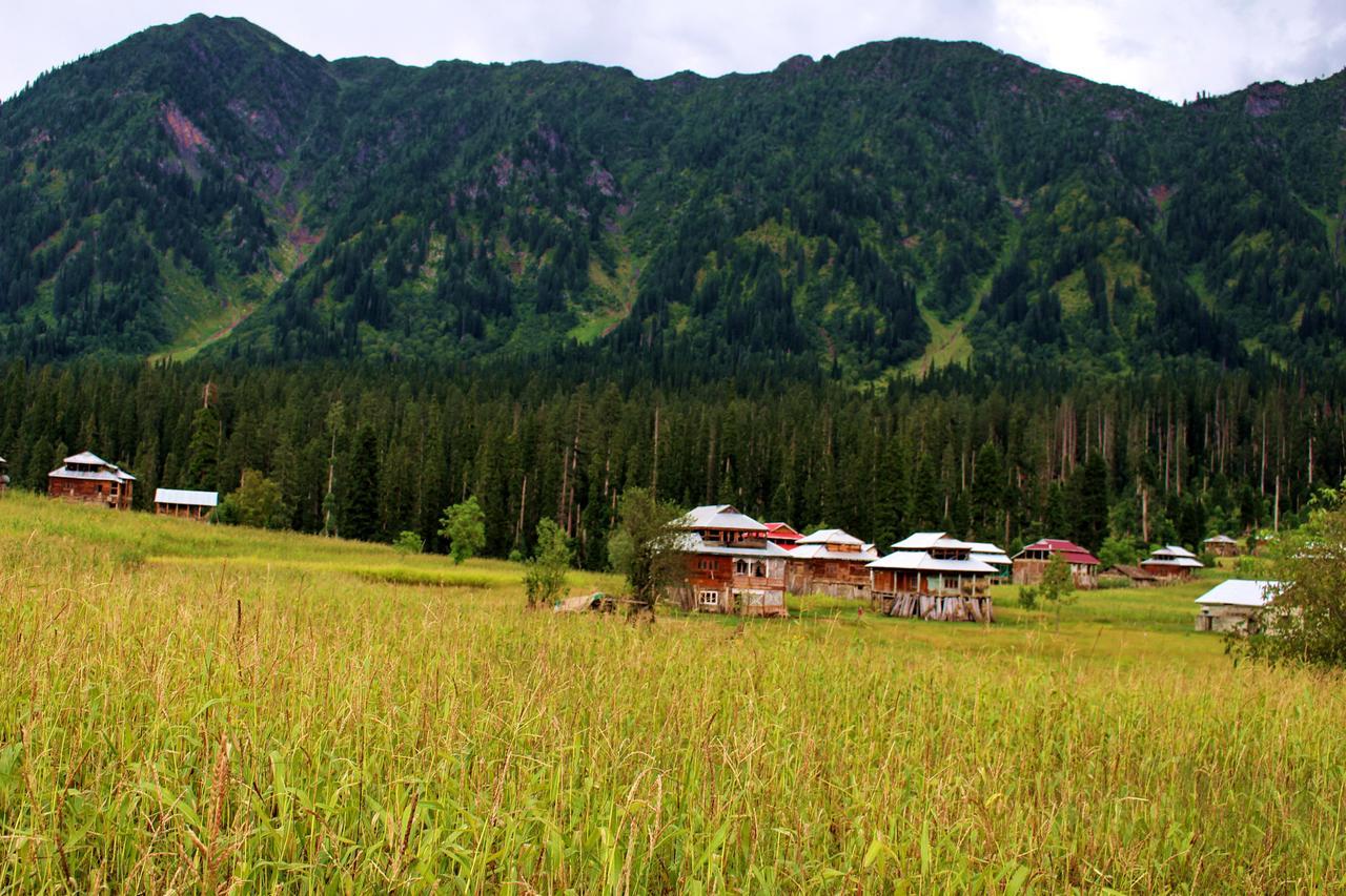 Sharda Resort Shardi ภายนอก รูปภาพ